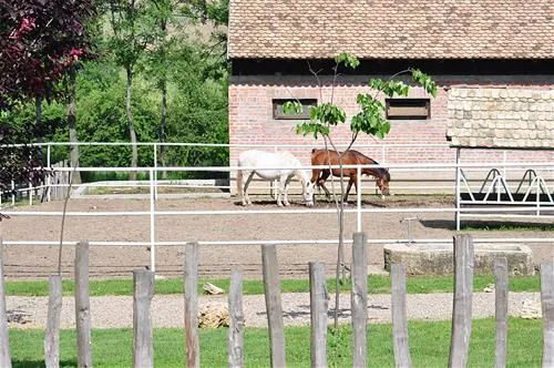 camping-zornica-house-bacevac-belgrade-pzqde