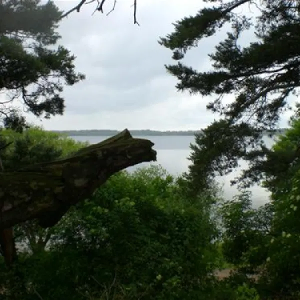 camping-am-see-alt-schwerin-alt-schwerin-ljdvs