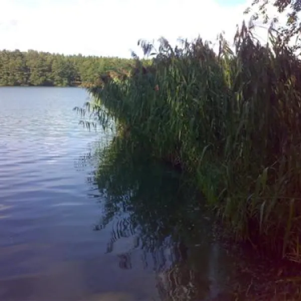 knattercamping-in-bantikow-am-see-bantikow-bei-kyritz-cyehq