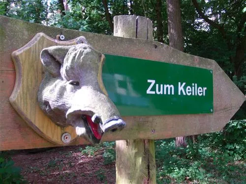 knattercamping-in-bantikow-am-see-bantikow-bei-kyritz-iolp7