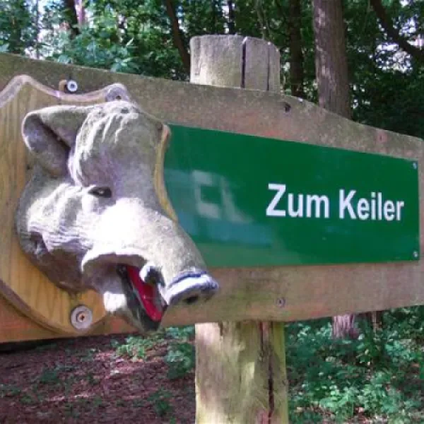 knattercamping-in-bantikow-am-see-bantikow-bei-kyritz-iolp7