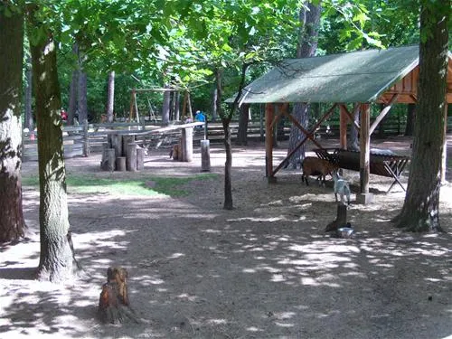 knattercamping-in-bantikow-am-see-bantikow-bei-kyritz-menuu