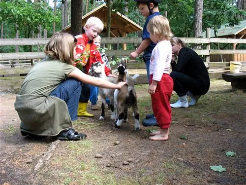 knattercamping-in-bantikow-am-see-bantikow-bei-kyritz-wfapz