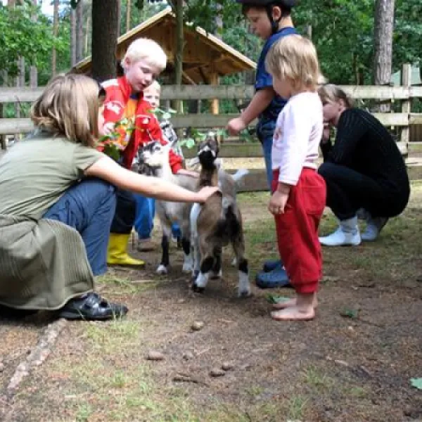 knattercamping-in-bantikow-am-see-bantikow-bei-kyritz-wfapz