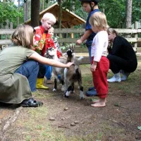knattercamping-in-bantikow-am-see-bantikow-bei-kyritz-wfapz