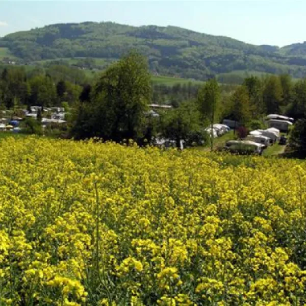 nibelungencamping-am-schwimmbad-frth-hn7wn