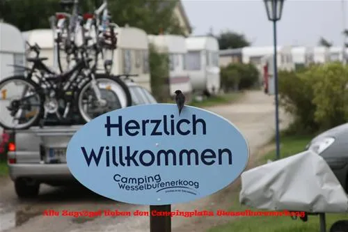 camping-wesselburenerkoog-wesselburenerkoog-8tfkq