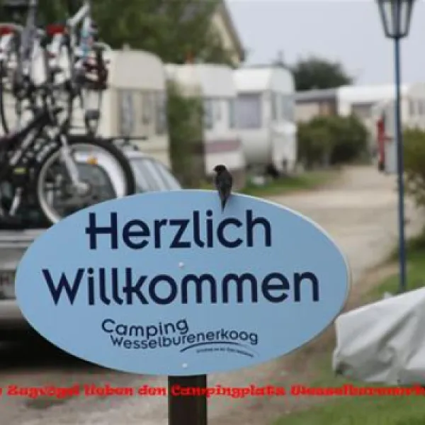 camping-wesselburenerkoog-wesselburenerkoog-8tfkq