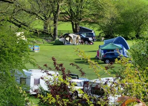 woodlands-caravan-park-aberystwyth-pigmx