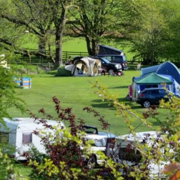 woodlands-caravan-park-aberystwyth-pigmx