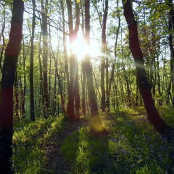 woodlands-caravan-park-aberystwyth-qupv5