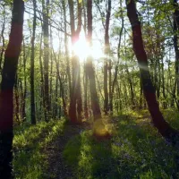 woodlands-caravan-park-aberystwyth-qupv5