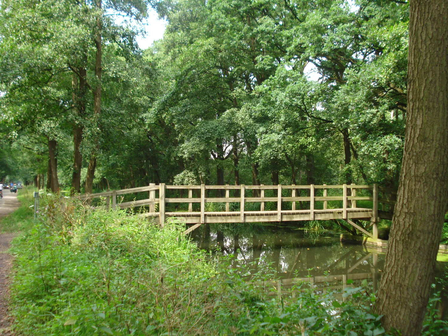 de-linde-merselovenray-hl5qo