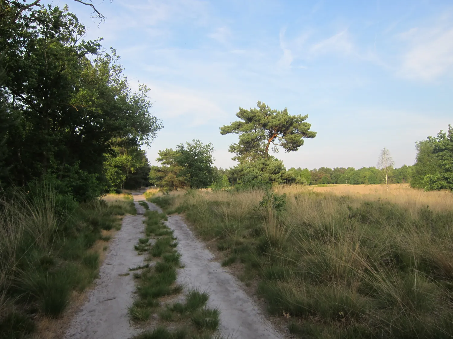 de-linde-merselovenray-playl