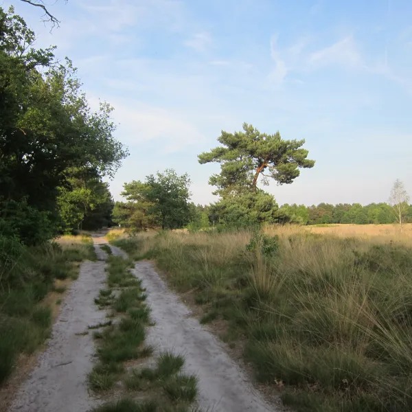 de-linde-merselovenray-playl
