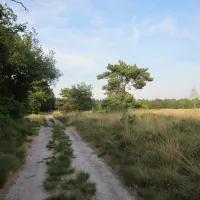 de-linde-merselovenray-playl
