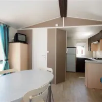 camping-les-calquieres-severac-le-chateau-odfes