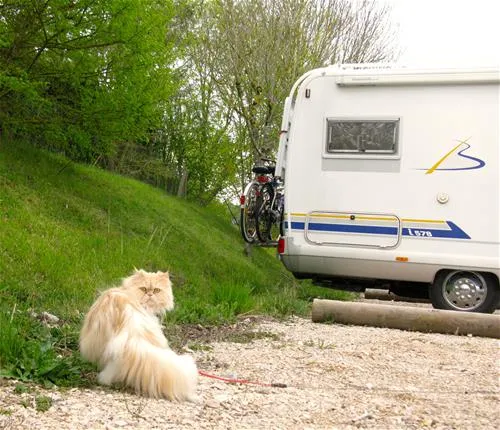 camping-les-calquieres-severac-le-chateau-sv5xb