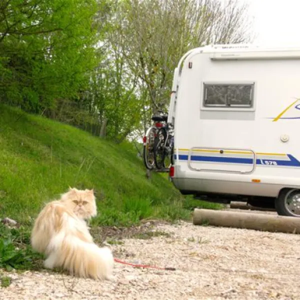 camping-les-calquieres-severac-le-chateau-sv5xb