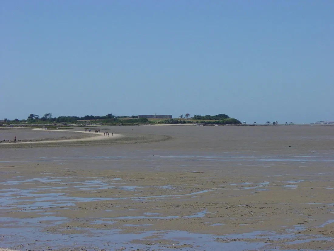 camping-municipal-de-la-garenne-port-des-barques-iggs8