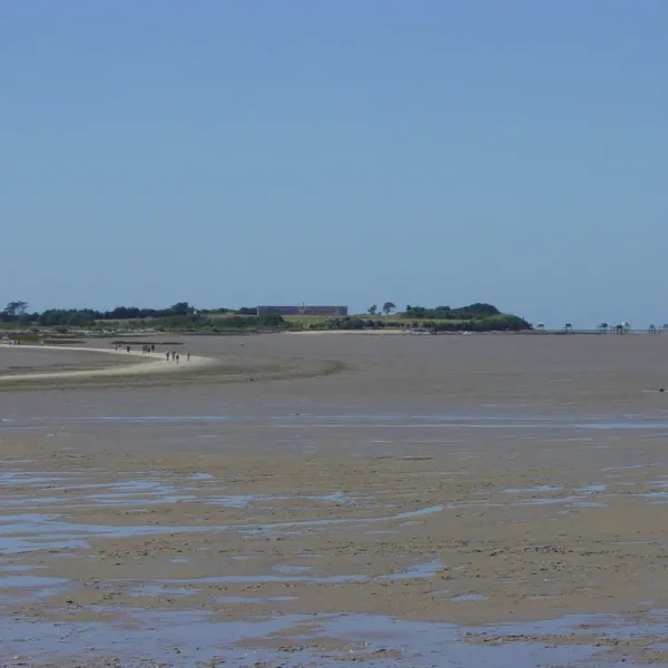 camping-municipal-de-la-garenne-port-des-barques-iggs8