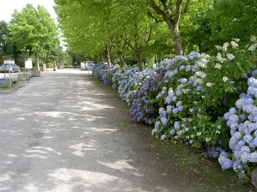 la-baie-de-douarnenez-poullansurmer-pf4kj