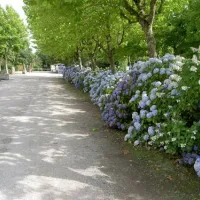 la-baie-de-douarnenez-poullansurmer-pf4kj