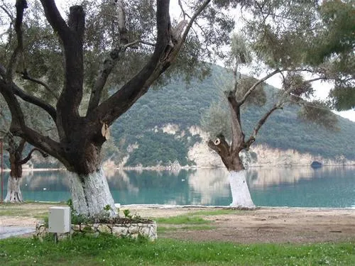 camping-desimi-beach-vlicho-tikwv