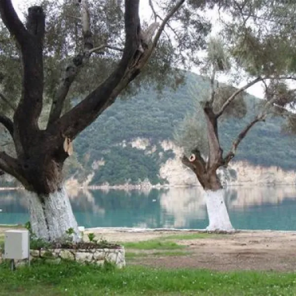 camping-desimi-beach-vlicho-tikwv