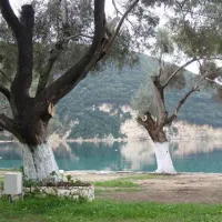 camping-desimi-beach-vlicho-tikwv