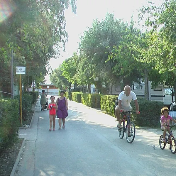 camping-village-adria-casal-borsetti-d3yii