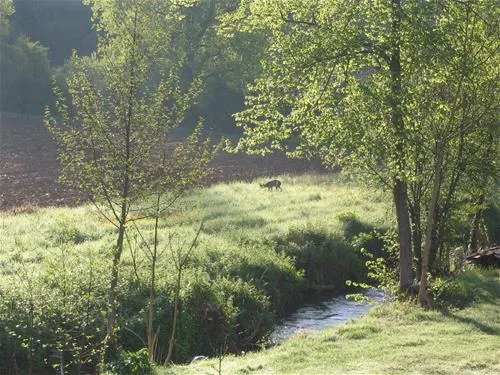 camping-la-lenotte-belves-anem2