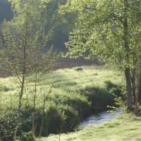 camping-la-lenotte-belves-anem2