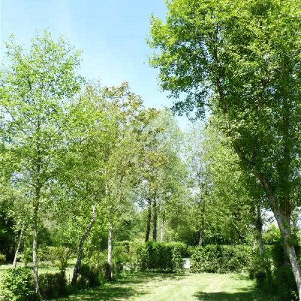camping-la-lenotte-belves-mafuk
