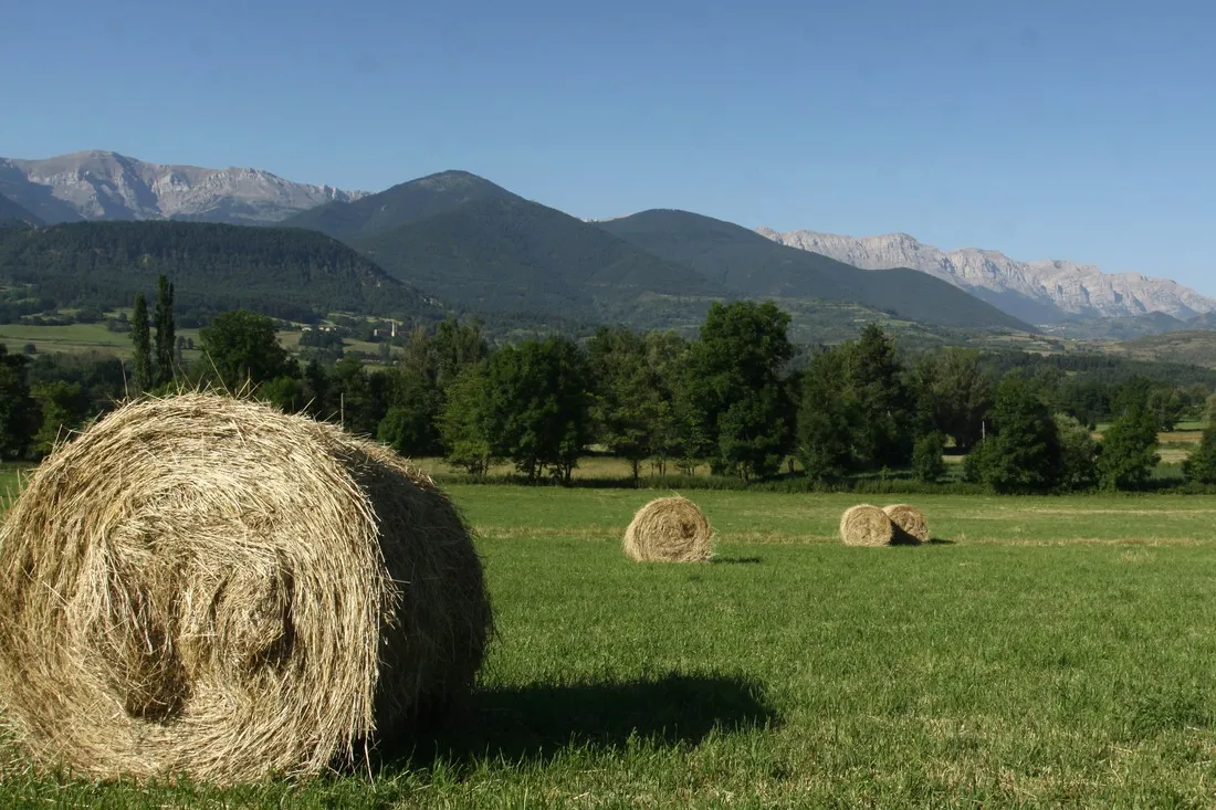 camping-la-cerdanya-prullans-luloi