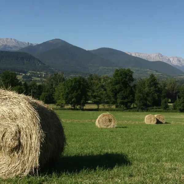 camping-la-cerdanya-prullans-luloi