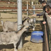 camping-la-cerdanya-prullans-njekn