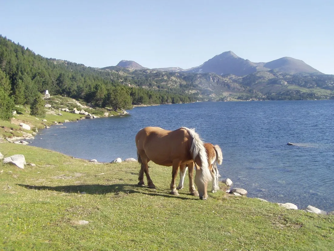 camping-la-cerdanya-prullans-t8bks