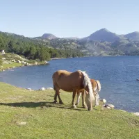 camping-la-cerdanya-prullans-t8bks