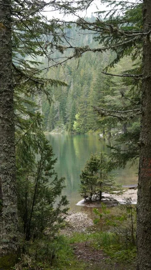camp-ivan-do-zabljak-bcrsj