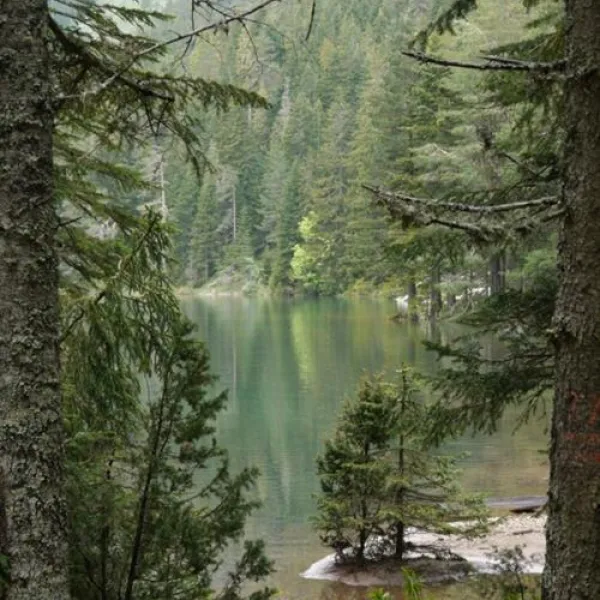 camp-ivan-do-zabljak-bcrsj