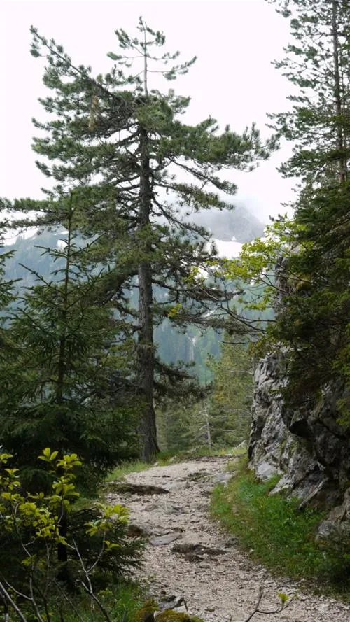 camp-ivan-do-zabljak-i1vfg