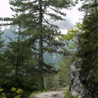 camp-ivan-do-zabljak-i1vfg