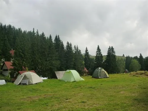 camp-ivan-do-zabljak-np4nx
