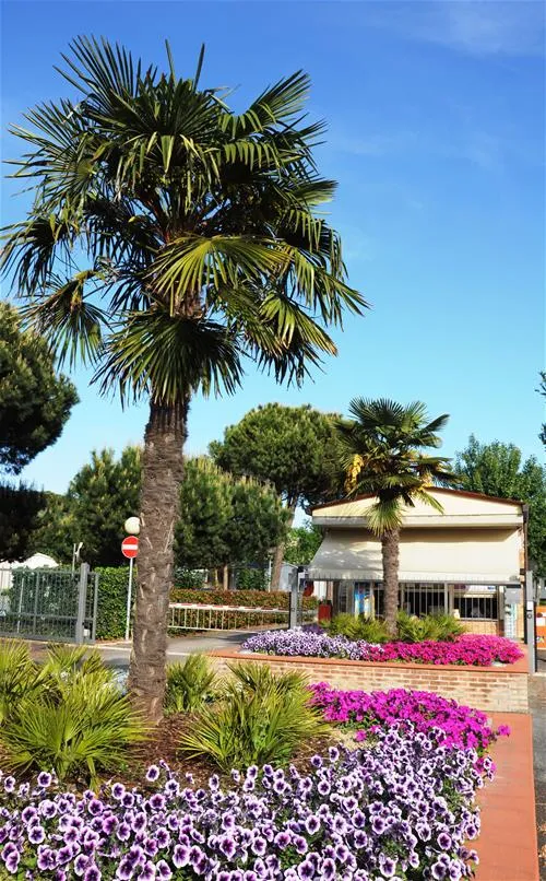 marina-camping-village-punta-marina-terme-ak4hd
