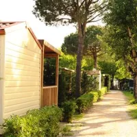 marina-camping-village-punta-marina-terme-u1shd