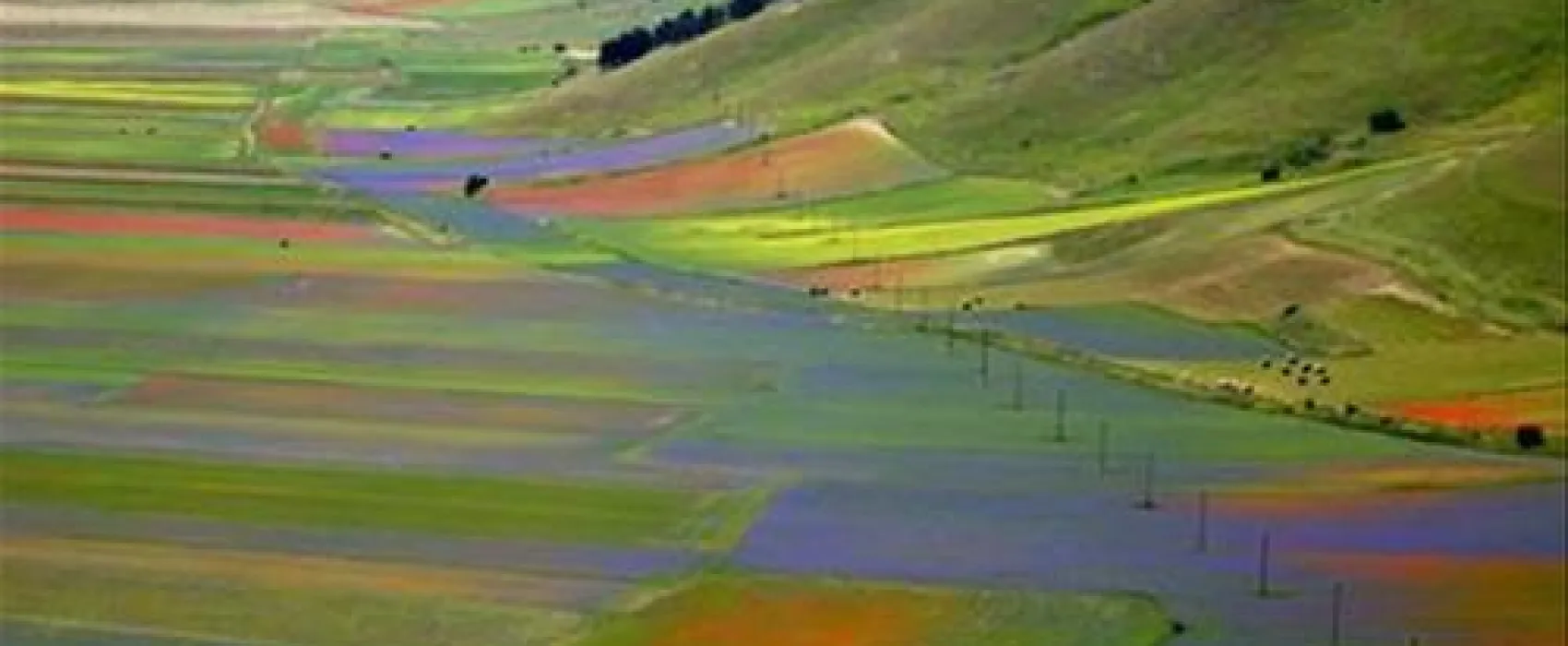 Campeggio Monte Prata