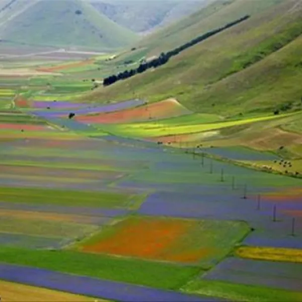 Campeggio Monte Prata