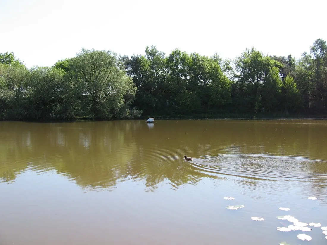 camping-emspark-haren-v8esg