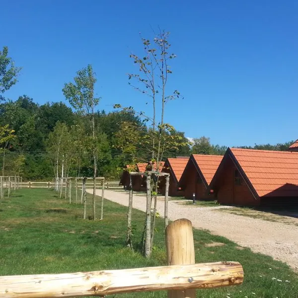 Eco camp "Rizvan City"
